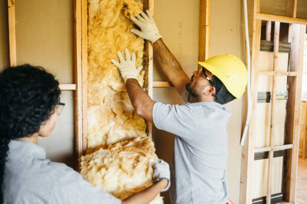 Professional Insulation in Mount Carmel, PA